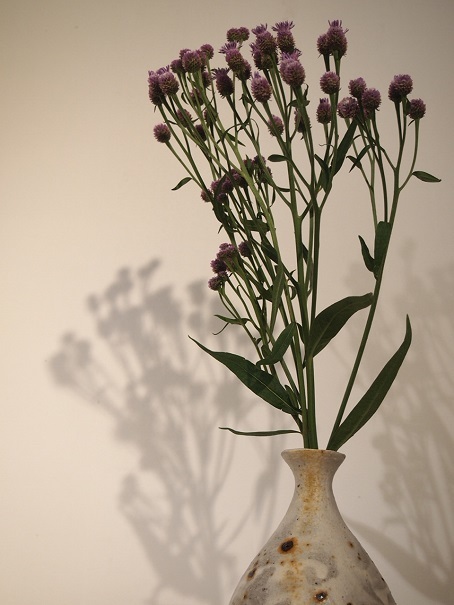 秋分の日_b0322280_13085727.jpg
