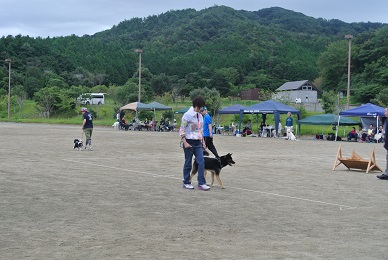 e0121583_20221947.jpg
