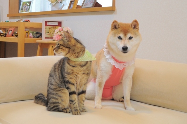パッキンの不具合_a0126590_16375058.jpg