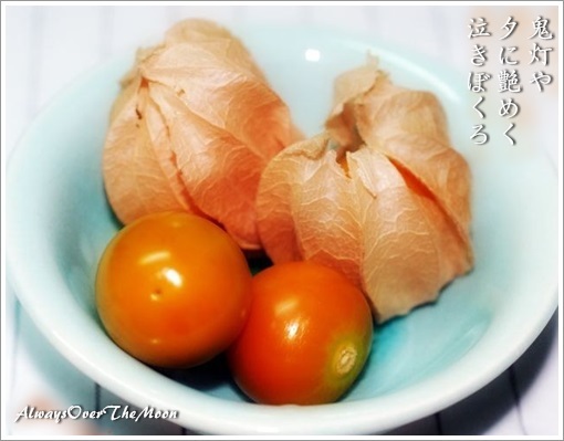鬼灯 ほおずき 俳句 Always Over The Moon 鬼灯 ほおずき 俳句 Always Over The Moon