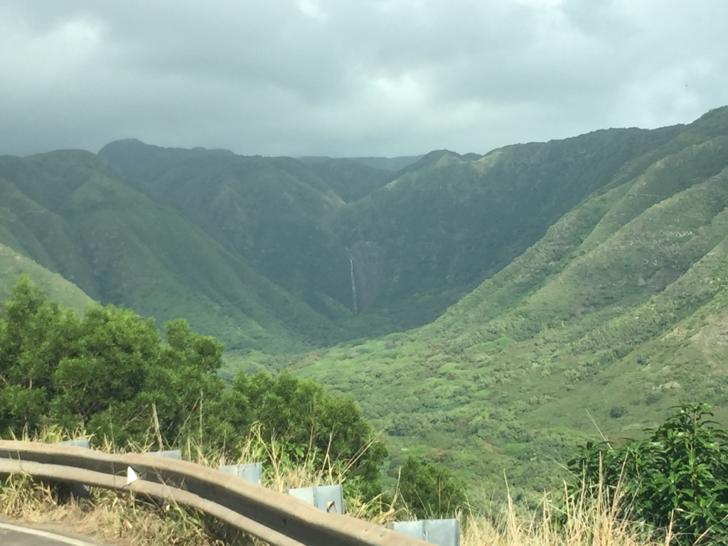 f0174198_10361236.jpg
