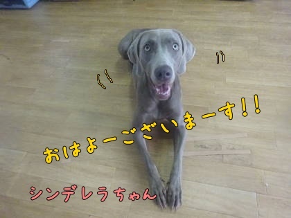a0338800_23385829.jpg