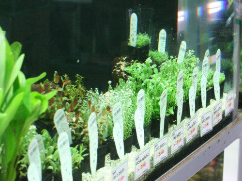 c0165800_20005054.jpg