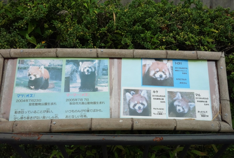 初訪問！安佐動物公園_a0306502_15237.jpg