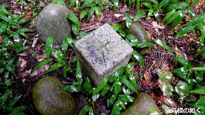 e0304702_20165754.jpg