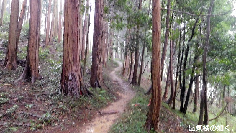 e0304702_20181778.jpg