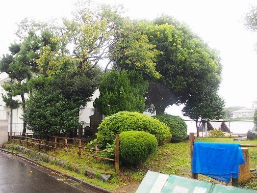 鎌倉市　津　御所五郎丸公園（伝屋敷跡）(2016.09.23)_e0245404_20515640.jpg