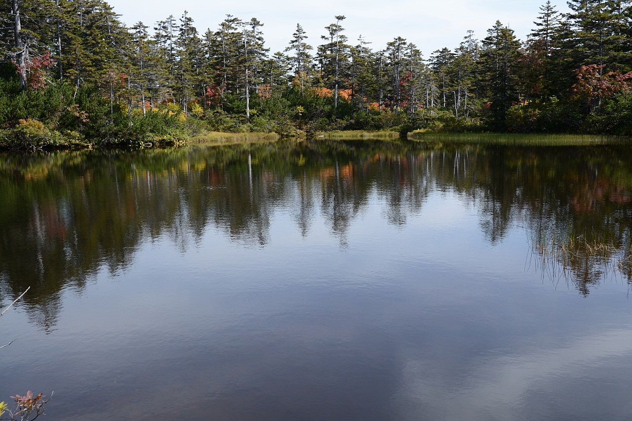 a0248508_831424.jpg