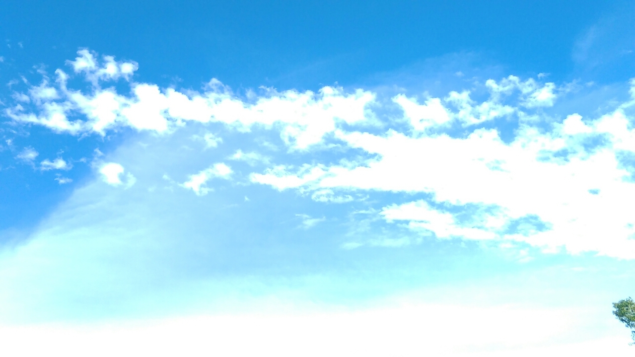 c0144511_12552670.jpg