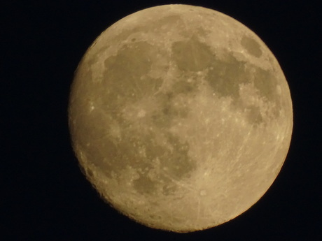 e0148212_17555643.jpg