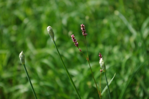 d0341514_09244674.jpg