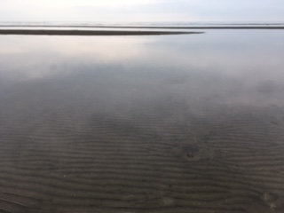e0231614_1474447.jpg