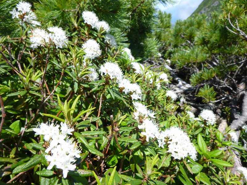 d0170615_10251825.jpg