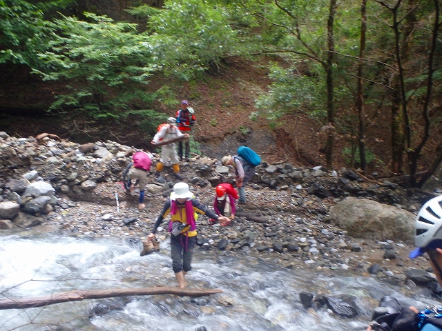 天主山（菅林道～森林鉄道集材場跡～久保の息～天主山）_f0193521_2021657.jpg