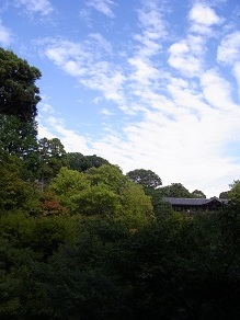 f0361027_15330171.jpg