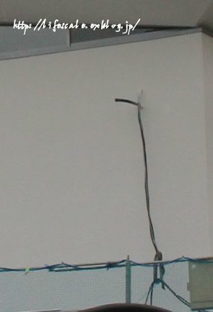 そこには引き込み電線というラスボスが_f0329331_20020708.jpg