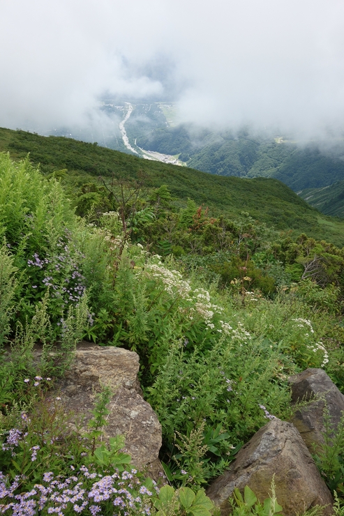 a0287336_21383612.jpg