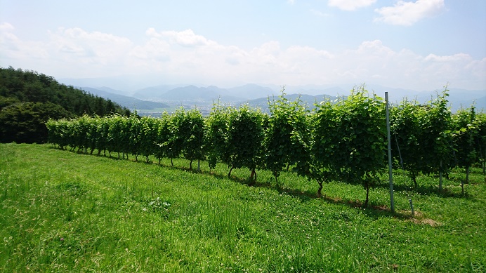 c0178336_1632710.jpg