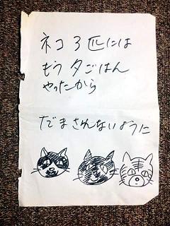 こどもへの伝言、餌をやったよ、猫に_b0038437_08170320.jpg