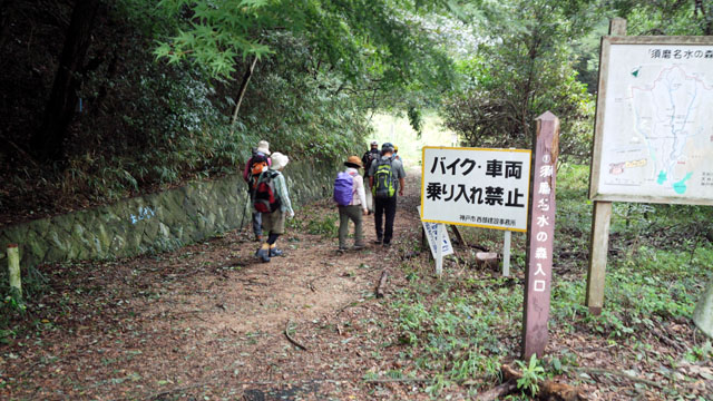 ミステリールートで須磨アルプスを目指す 「須磨アルプス」_c0218841_1105841.jpg