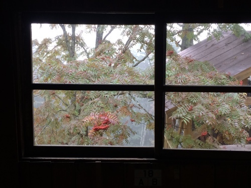 9月23日の日記_c0369344_11553654.jpeg