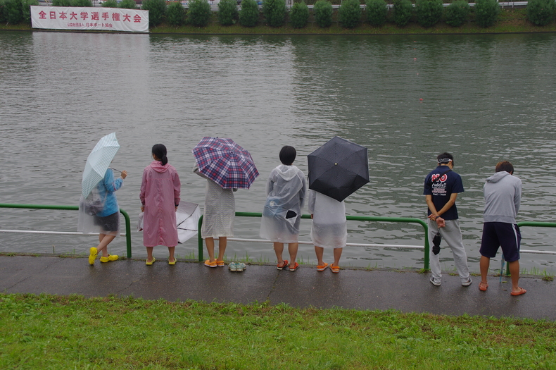 ２０１６インカレ戸田漕艇場・・・雨にも負けず_a0209045_21452450.jpg