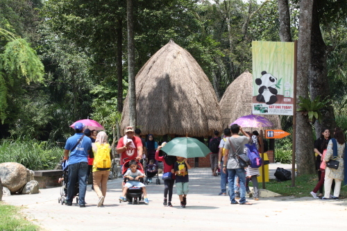 Zoo Negara（動物園）、そしていろいろ_a0357546_16332650.jpg