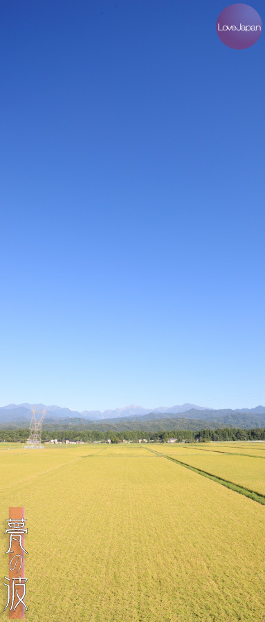 立山連邦と立山町田園風景_b0157849_21091041.jpg