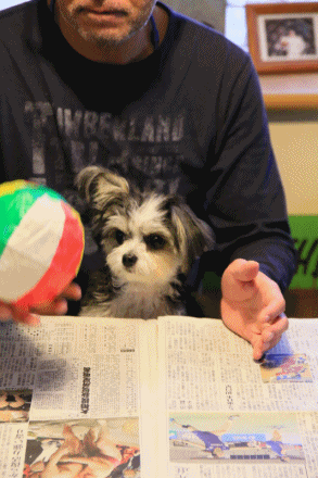 c0145250_10124109.gif