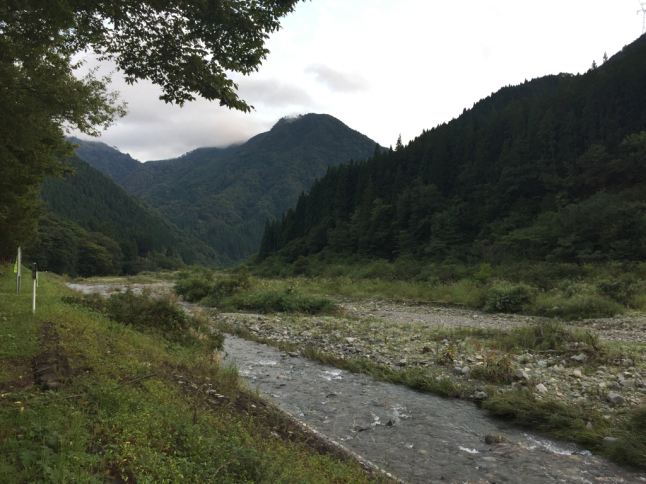 ◆キャンプで会いましょう 前日編_b0008655_17453028.jpg