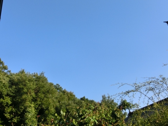 c0328559_16464045.jpg