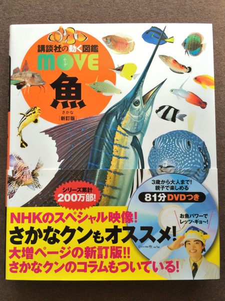 写真が魚の図鑑に載りました 蜜蜂的写真日記