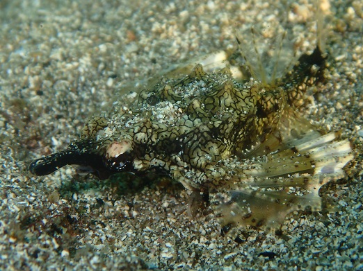 e0132965_97335.jpg