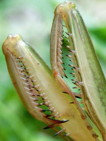 e0045768_21332186.jpg