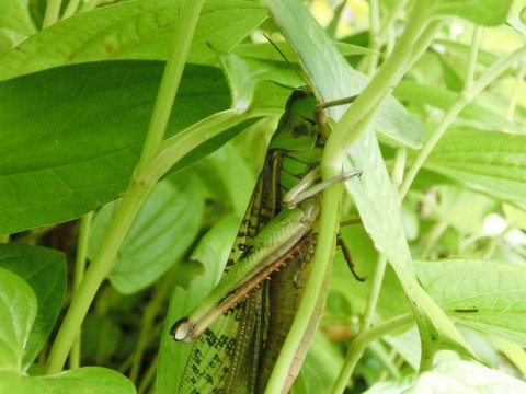 e0045768_21344349.jpg