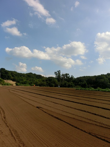 e0045768_21441534.jpg