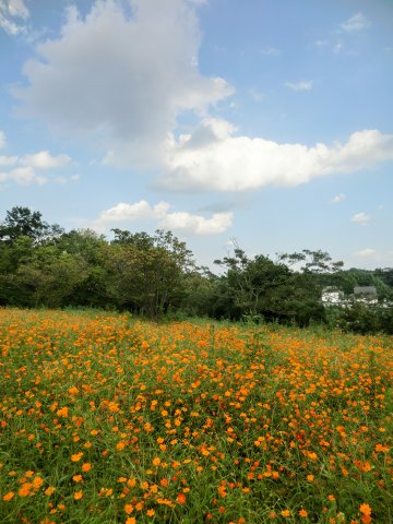 e0045768_21474472.jpg