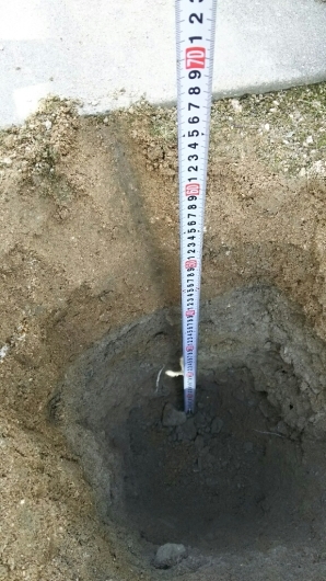 f0098671_12255880.jpg