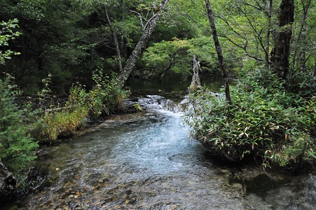 c0289473_14392219.jpg