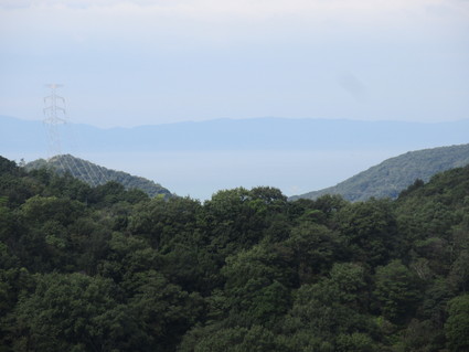 f0053885_2015449.jpg