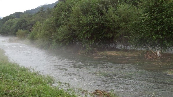 a0130586_1650914.jpg