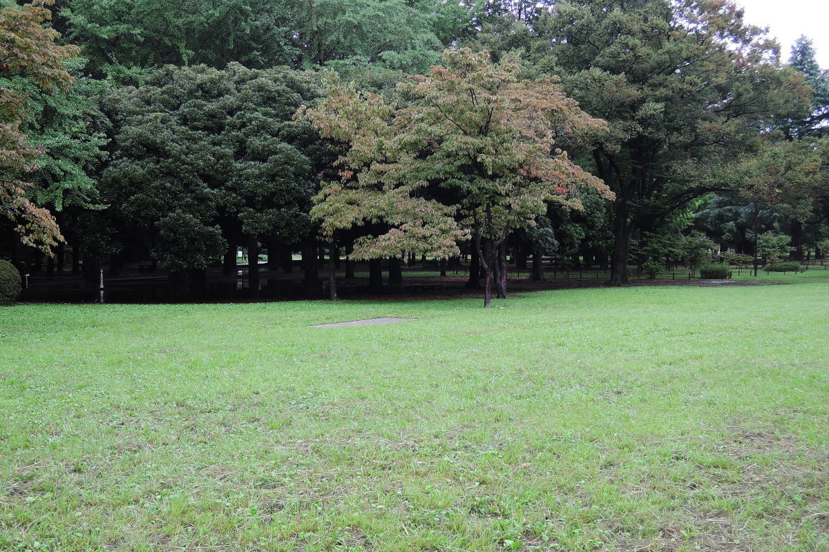 c0252688_13212405.jpg