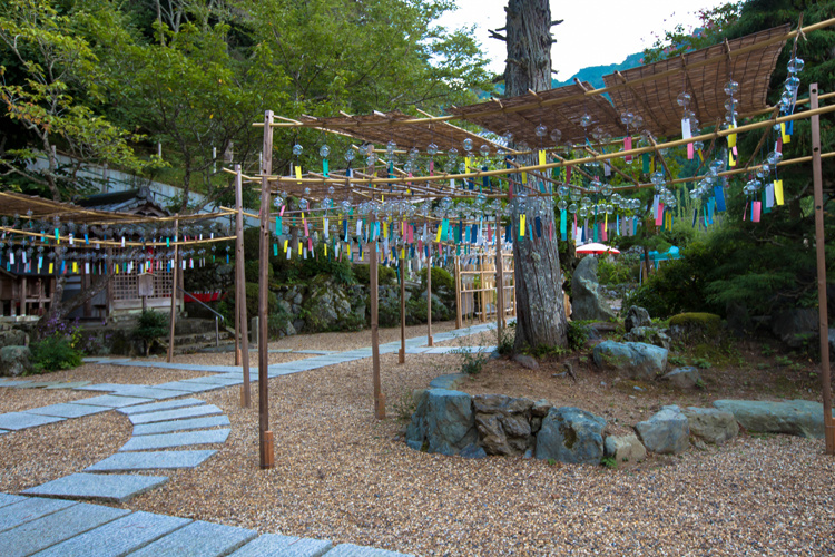 宇治田原町・正寿院_e0051888_049556.jpg