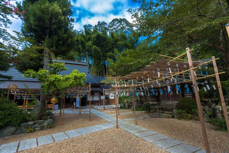 宇治田原町・正寿院_e0051888_0511100.jpg