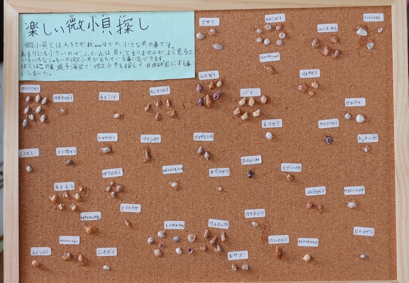 c0204298_13425204.jpg
