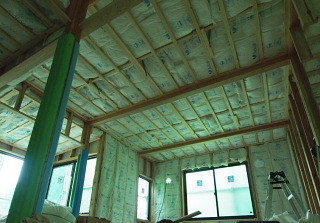 c0039501_08032451.jpg