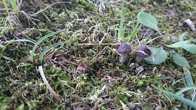 c0163102_20384902.jpg