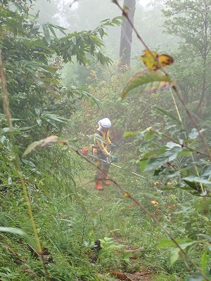 c0336902_18224846.jpg