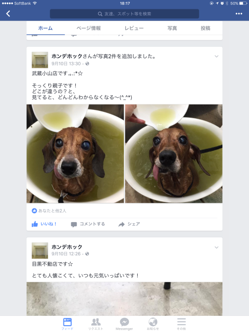 a0332203_12225644.png