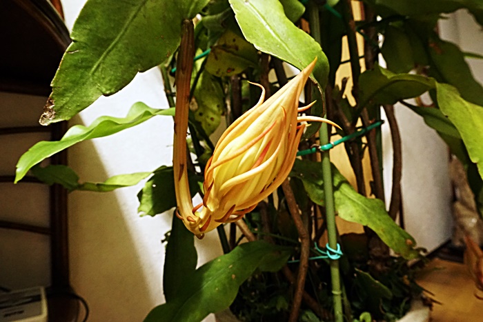 c0187503_211319100.jpg